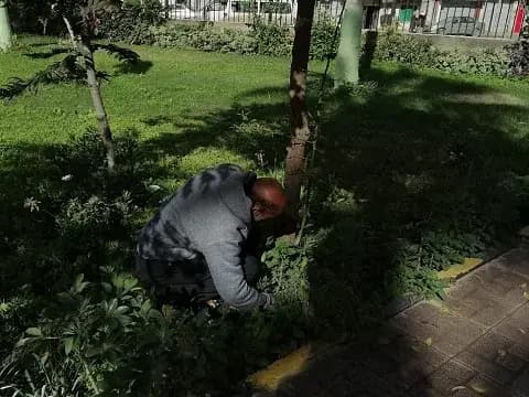 صورة 1 من 1 نشرها الحي مع المنشور