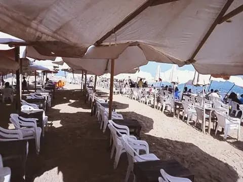صورة 1 من 1 نشرها الحي مع المنشور