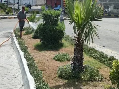 صورة 1 من 1 نشرها الحي مع المنشور