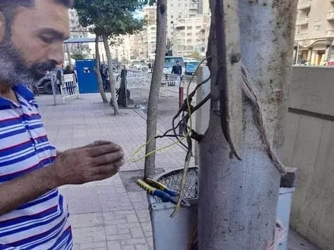 صورة 1 من 1 نشرها الحي مع المنشور