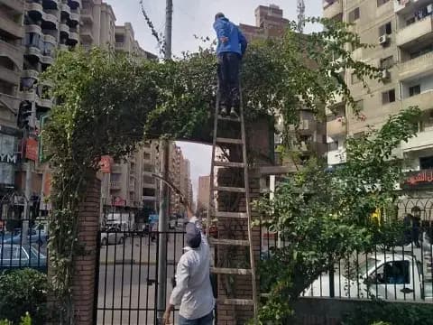 صورة 1 من 1 نشرها الحي مع المنشور