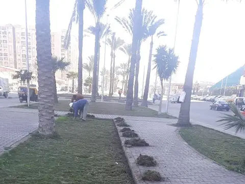 صورة 4 من 7 نشرها الحي مع المنشور