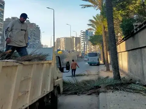 صورة 1 من 1 نشرها الحي مع المنشور
