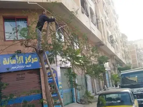 صورة 1 من 1 نشرها الحي مع المنشور