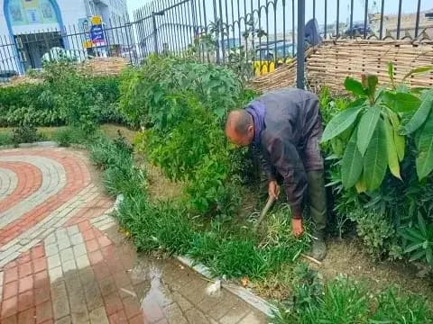 صورة 1 من 1 نشرها الحي مع المنشور