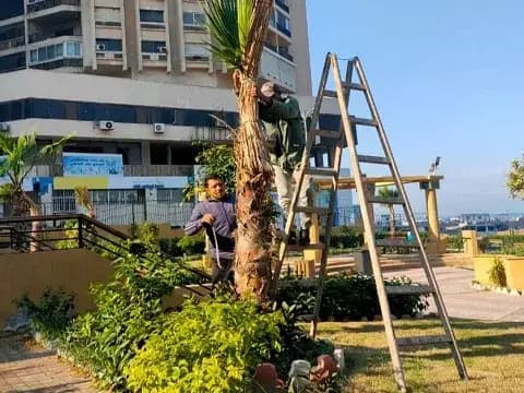 صورة 1 من 1 نشرها الحي مع المنشور