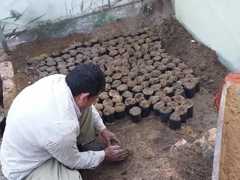 صورة 1 من 2 نشرها الحي مع المنشور