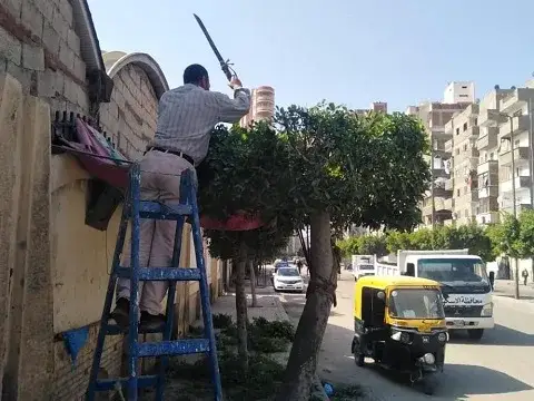 صورة 2 من 3 نشرها الحي مع المنشور