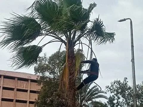 صورة 1 من 1 نشرها الحي مع المنشور