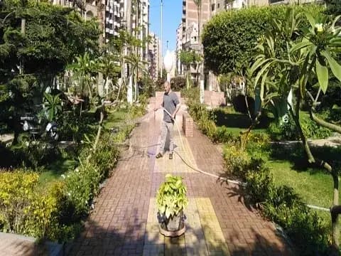 صورة 1 من 1 نشرها الحي مع المنشور
