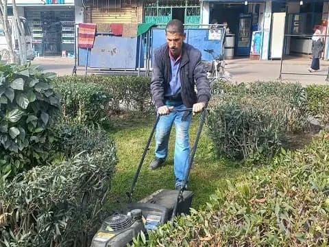 صورة 5 من 5 نشرها الحي مع المنشور