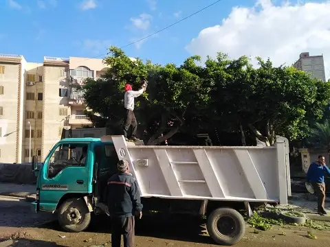 صورة 3 من 6 نشرها الحي مع المنشور