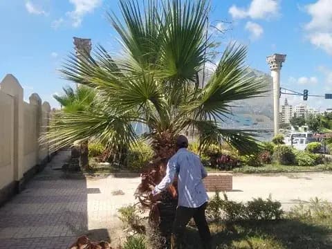 صورة 2 من 3 نشرها الحي مع المنشور