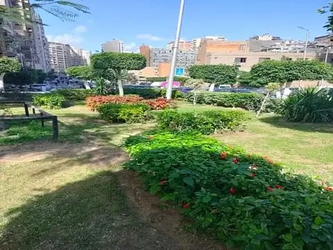 صورة 1 من 6 نشرها الحي مع المنشور