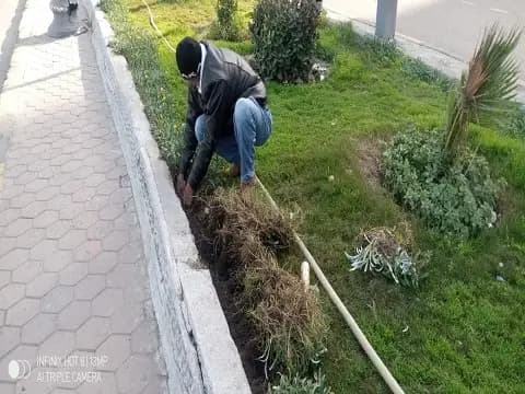 صورة 4 من 6 نشرها الحي مع المنشور