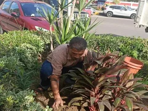 صورة 1 من 1 نشرها الحي مع المنشور