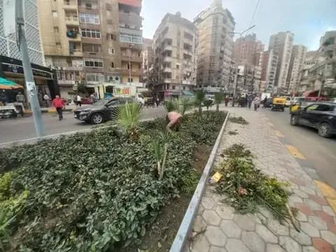 صورة 1 من 1 نشرها الحي مع المنشور