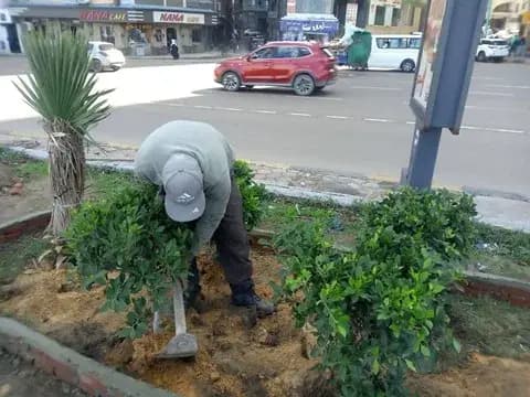 صورة 1 من 1 نشرها الحي مع المنشور