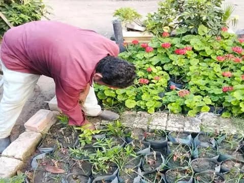 صورة 2 من 2 نشرها الحي مع المنشور